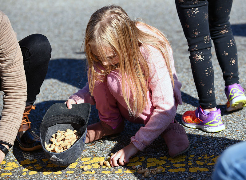 National Peanut Festival Parade 2019